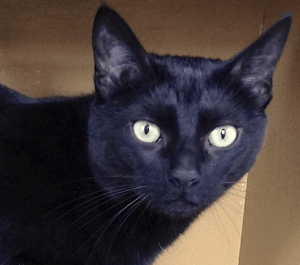 Screen Shot 2013-03-20 at 12.03.52 AM