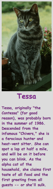 Screen Shot 2013-09-18 at 12.38.39 AM