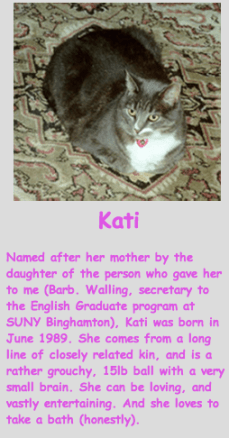 Screen Shot 2013-09-18 at 12.38.52 AM