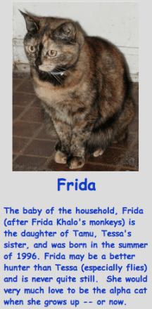 Screen Shot 2013-09-18 at 12.39.28 AM