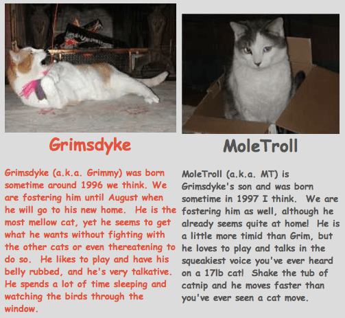 Screen Shot 2013-09-18 at 12.39.51 AM